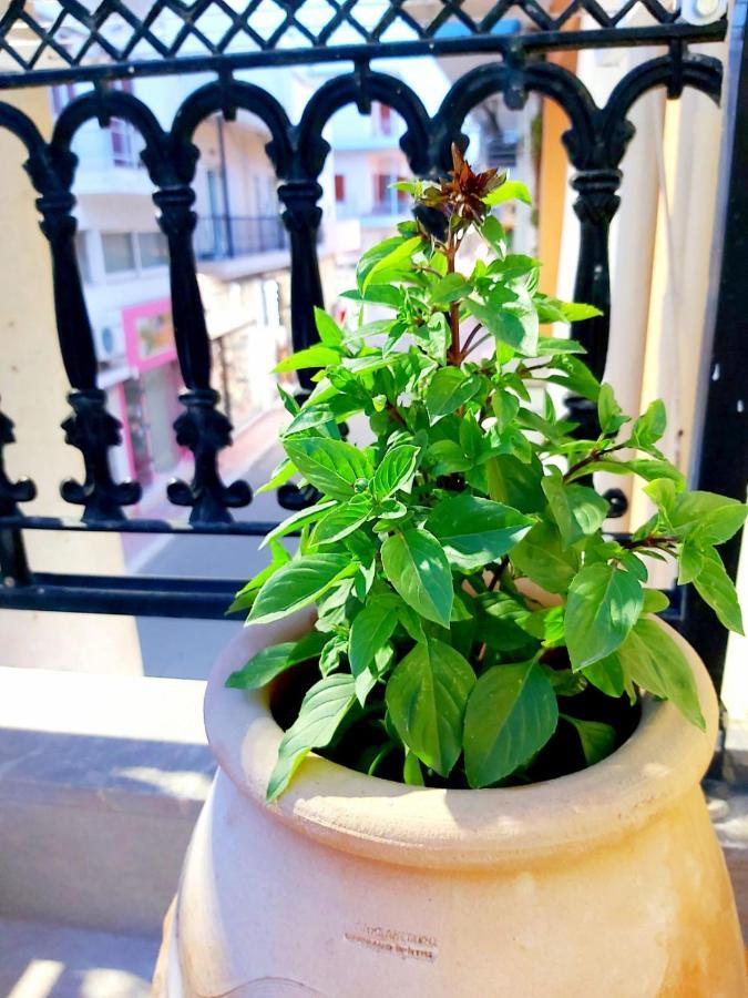 Sitia City Center Luxury Apartment 外观 照片